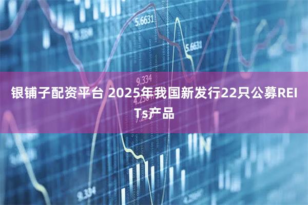 银铺子配资平台 2025年我国新发行22只公募REITs产品